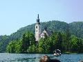 Bled